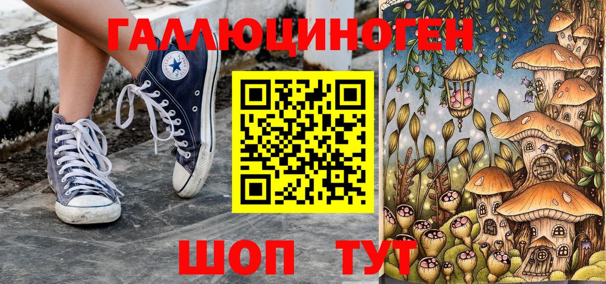 Псилоцибиновые грибы мицелий Красный Сулин